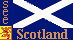  Our Saltire design 